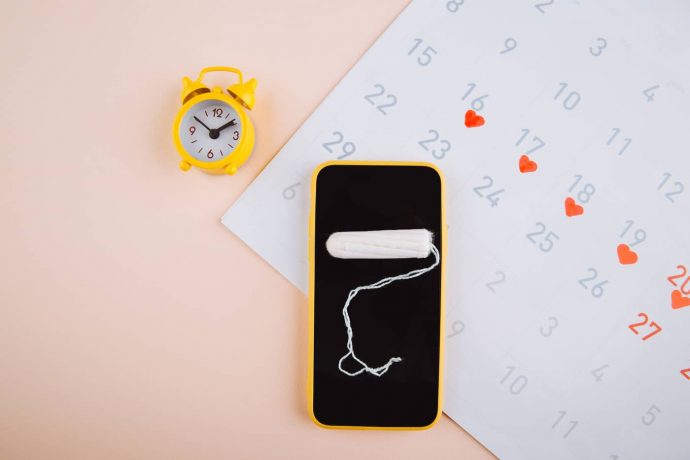 Menstruation apps privacy