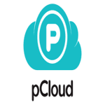 pCloud small logo