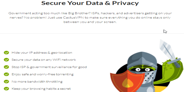 CactusVPN security and privacy
