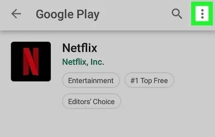 Accessing Google app store Netflix app tv