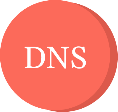 DNS-Icon