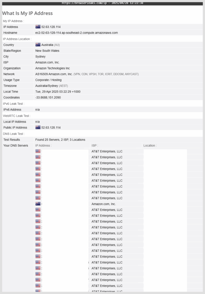 DNS leak tests