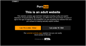 5 Best Pornhub VPNs in 2026 (Bypass Bans, Access Privately)