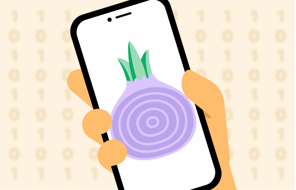 What is Onion Routing, and How Does It Work? - PrivacySavvy