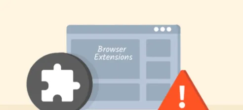 Privacy Risks of Browser Extensions