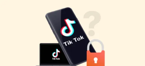 TikTok privacy security