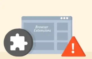 Privacy Risks of Browser Extensions