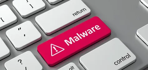 What is malware