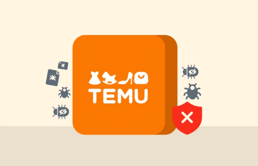 Does Temu steal your information?