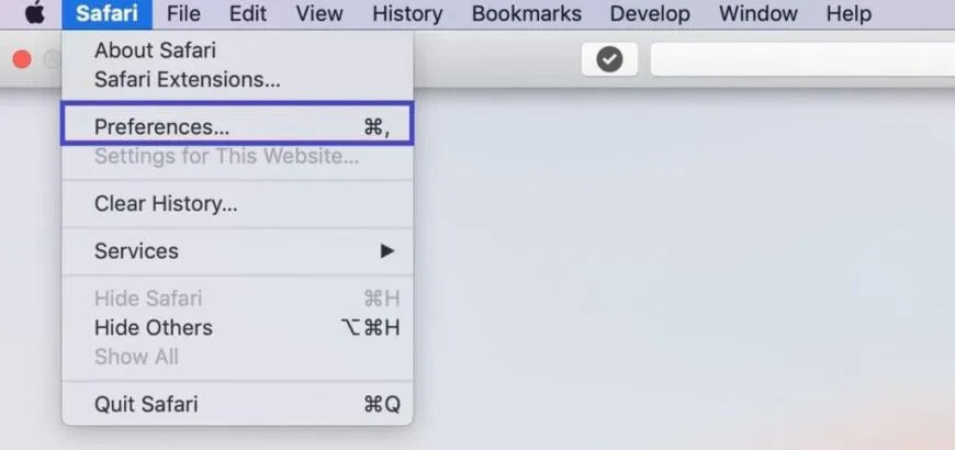 Disabling WebRTC on Safari screenshot 1