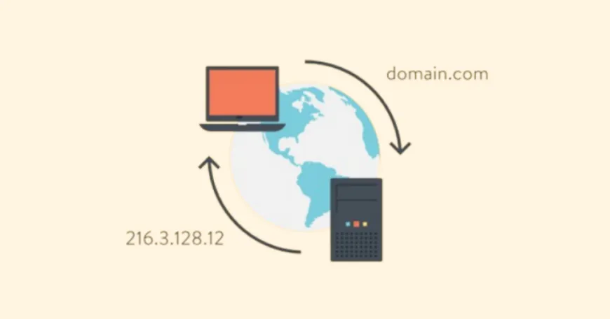What is the Domain Name System (DNS)?