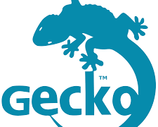 Gecko engine for Firefox browser