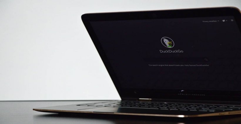Popular pirate sites suddenly vanishing from DuckDuckGo search results